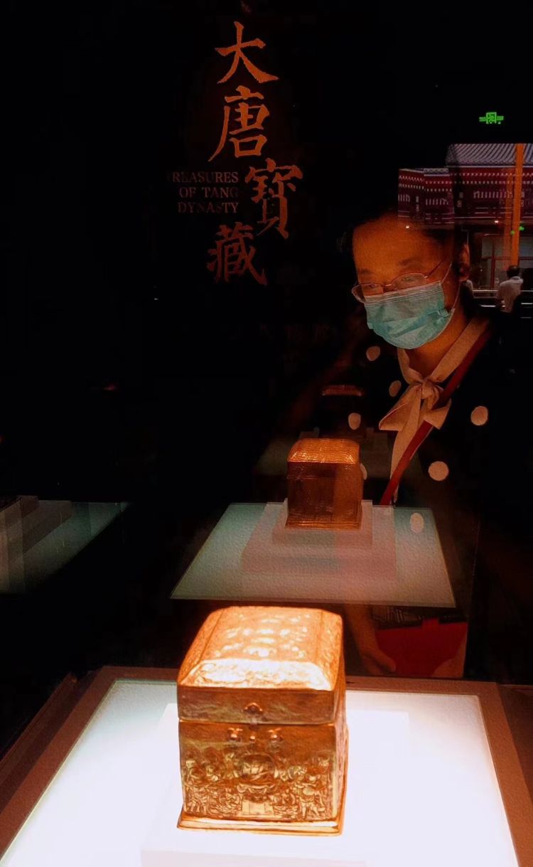 “感受大唐風華” 深圳市金石藝術(shù)博物館赴東莞市博物館 開展館際交流活動插圖(3)